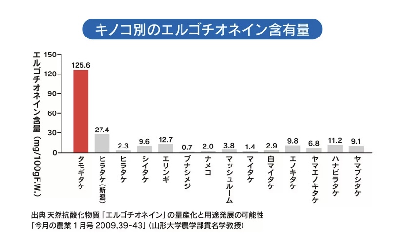 IMG_6495.PNG